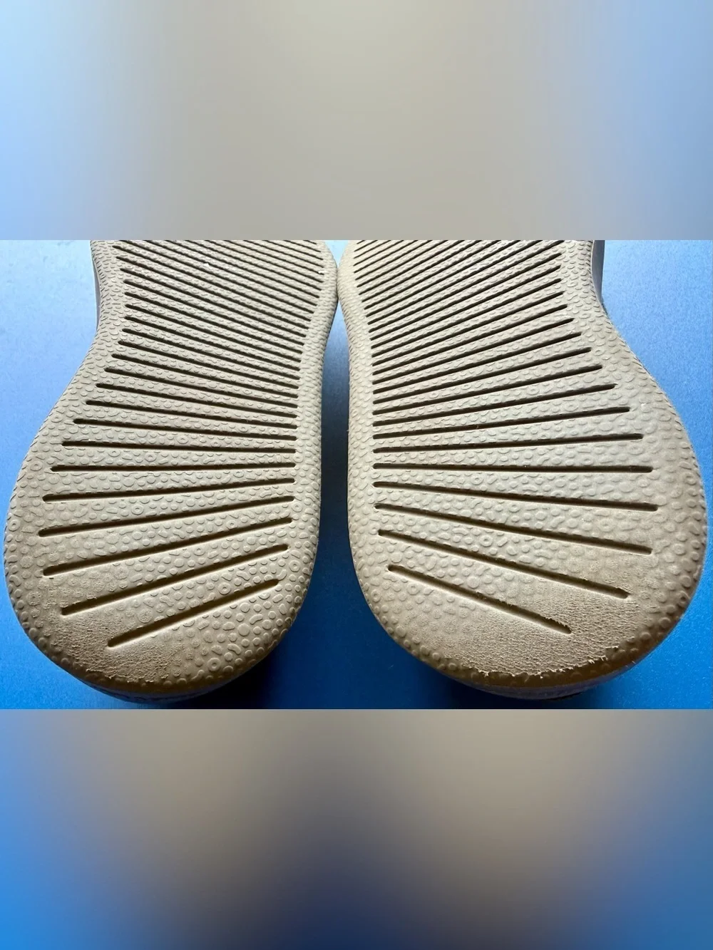allbirds comfort meets